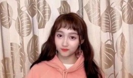 爆料鹿晗韩语视频播放网站,揭秘热门播放网站背后的故事